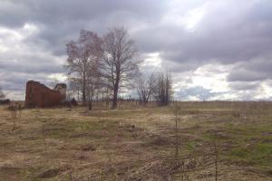 Почему вымирает русское село