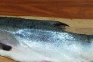 Рыбные блюда в духовке на любой случай Вкусные блюда из морской рыбы