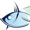Знак зодиака рыбы: как с ними уживаться и что надо знать?